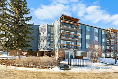 816 89 Avenue SW 313 Calgary AB T2V 4N8