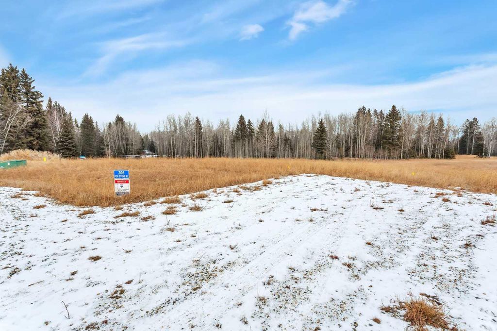 Photo of 205 FOX STONE Place, Rural Clearwater County, AB T4T 2A4 (MLS # A2001788)