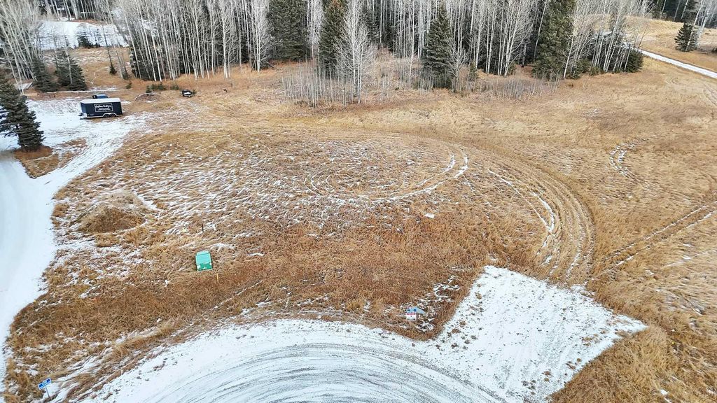 Photo of 205 FOX STONE Place, Rural Clearwater County, AB T4T 2A4 (MLS # A2001788)