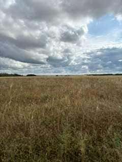 Photo of NW 31-52-25-3 Ext 3 &amp; 4, Rural, SK S0M 0W0 (MLS # A2337624)