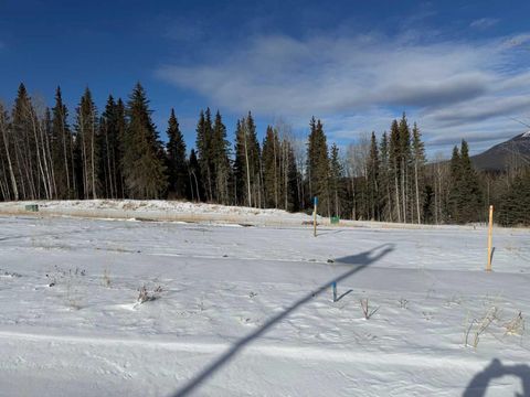 448 LILY Avenue Nordegg AB T0M 2H0