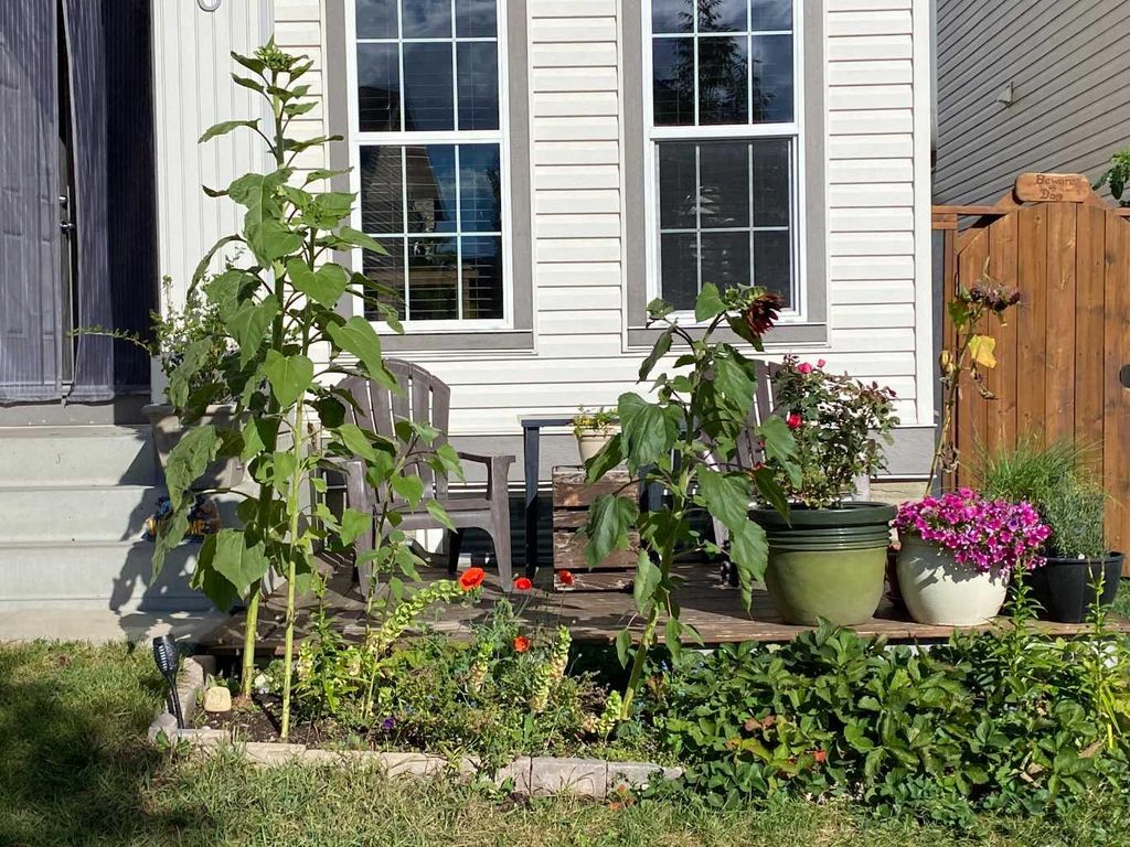 Photo of 6 Elgin Meadows Gardens SE, Calgary, AB T2Z 0M4 (MLS # A2295844)