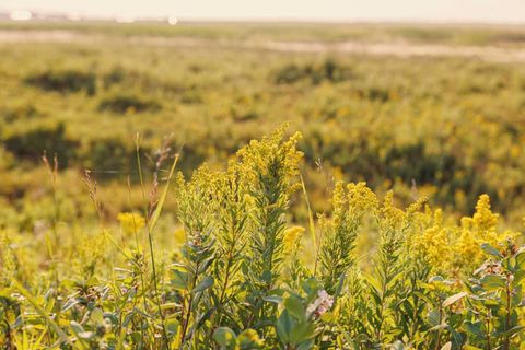 Photo of Parcel 8 Range Road 271 just south of Highway 9., Rural Rocky View County, AB T0M 1G0 (MLS # A2158857)