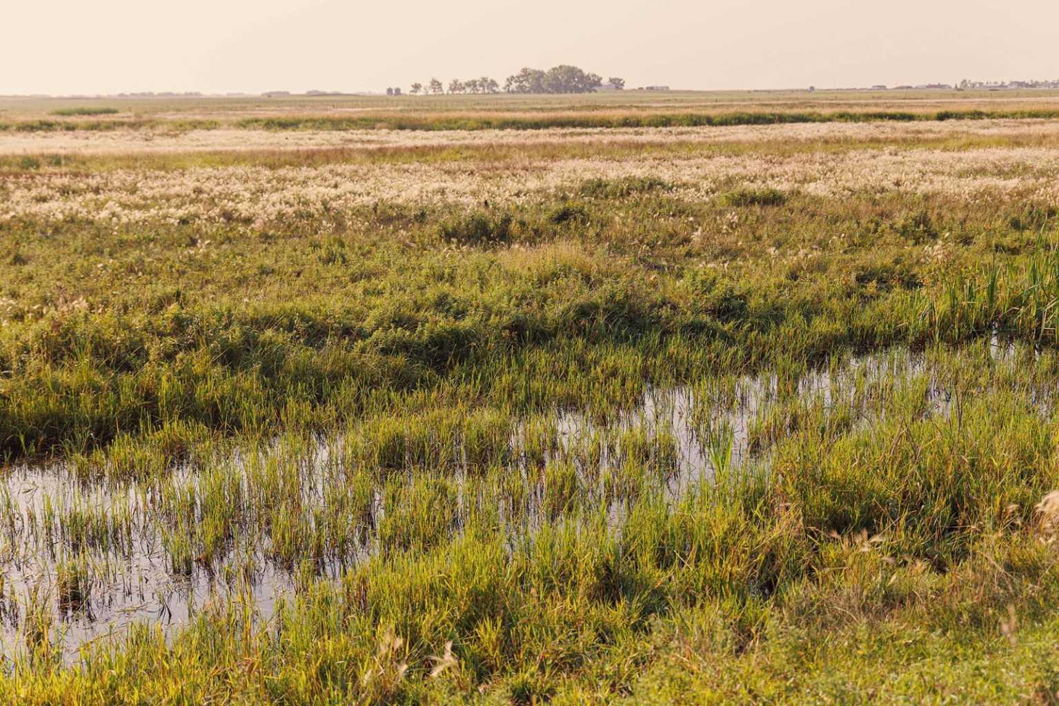 Parcel 8 Range Road 271 just south of Highway 9.