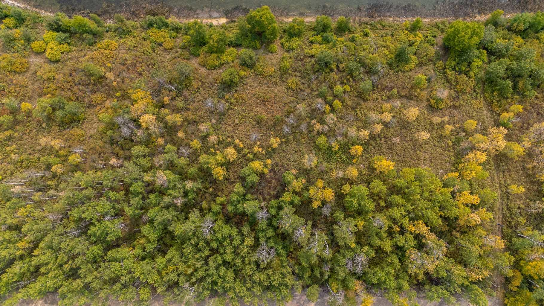 1 Crane Lane Murphy Lake