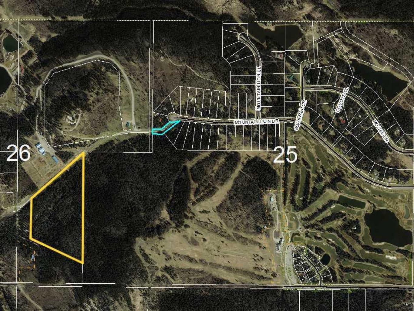 Mountain Lion Drive