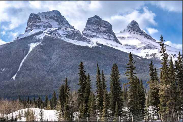 1106 Bow Valley Trail 113