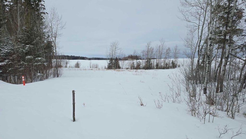 Photo of #118, 15421 Old Trail, Plamondon, AB T0A 2T0 (MLS # A2296007)