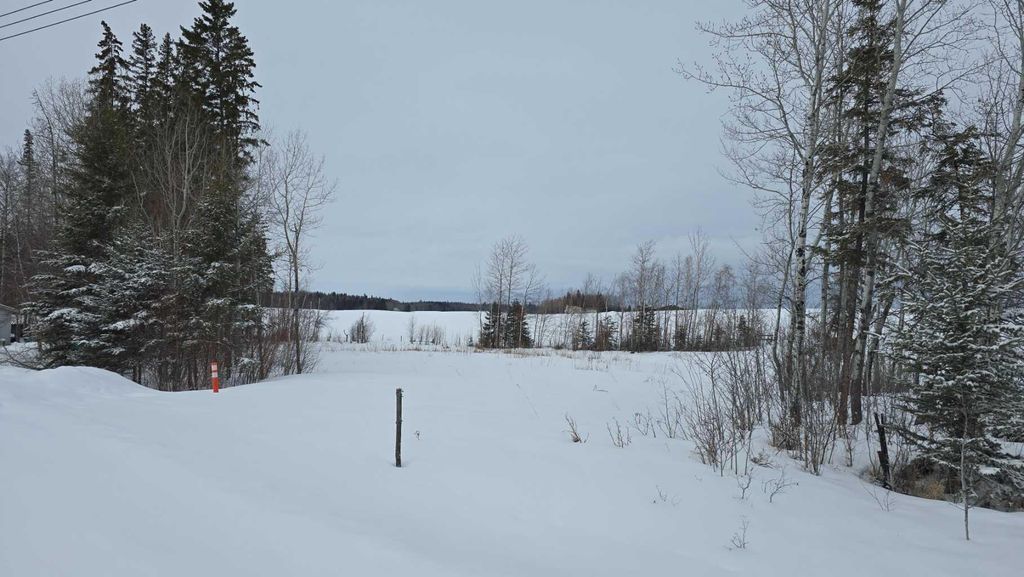 Photo of #118, 15421 Old Trail, Plamondon, AB T0A 2T0 (MLS # A2296007)