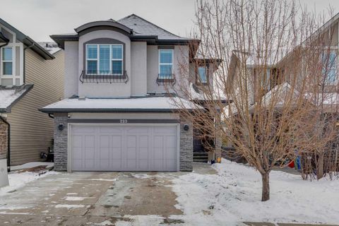 Property photo of 223 Cranarch Terrace Se, Calgary, AB T3m 1z2