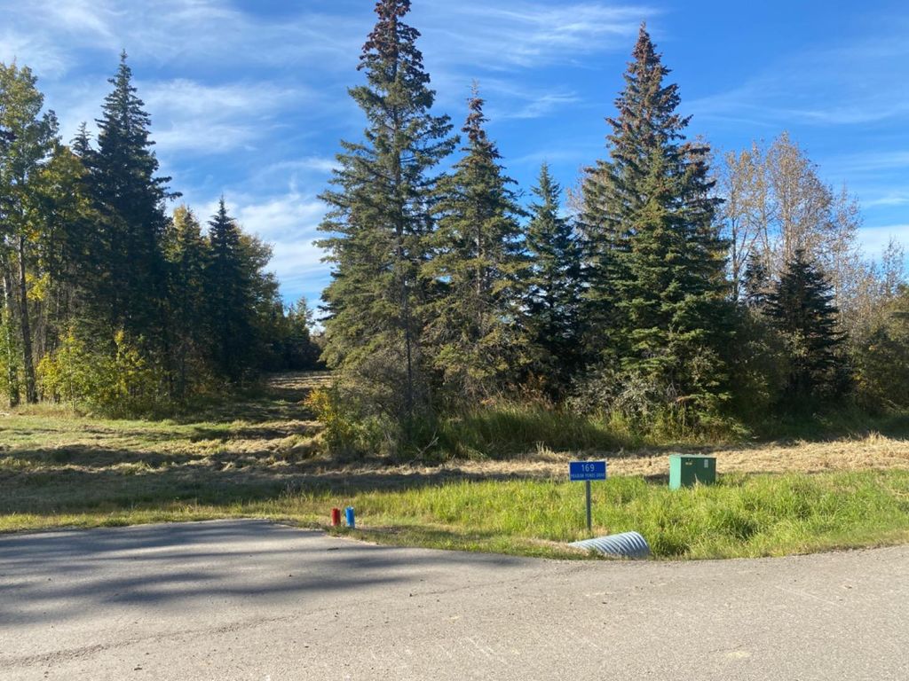 Photo of 169 Meadow Ponds Drive, Rural Clearwater County, AB T4T 1A7 (MLS # A1259232)