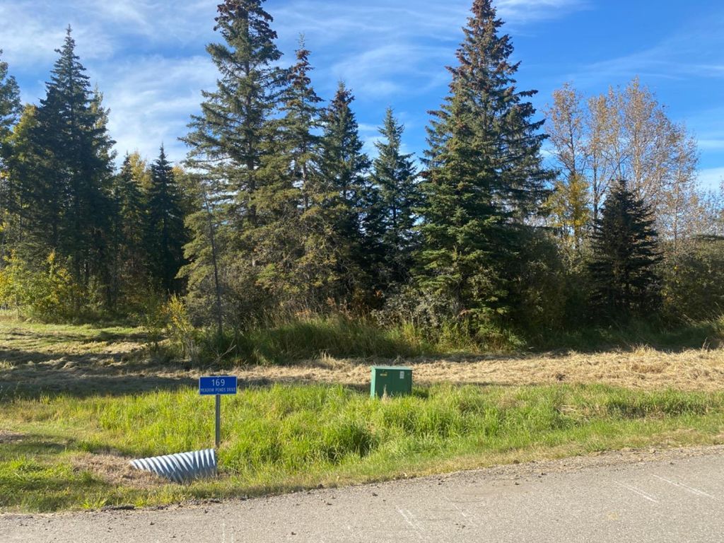 Photo of 169 Meadow Ponds Drive, Rural Clearwater County, AB T4T 1A7 (MLS # A1259232)