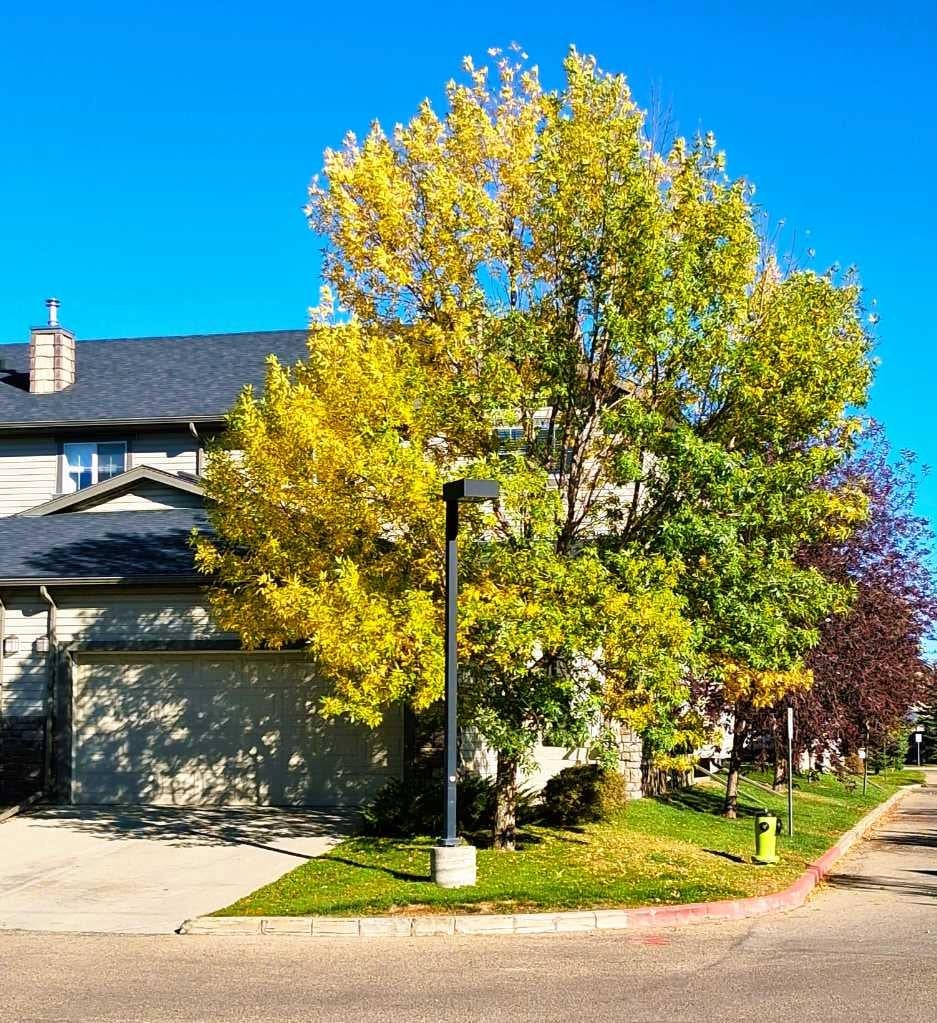 301 Ranch Ridge Meadow
