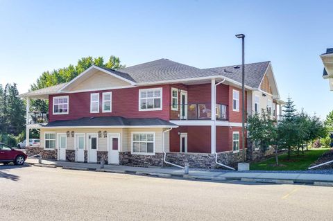 5300 Vista Trail D3 Blackfalds AB T4M 0L8