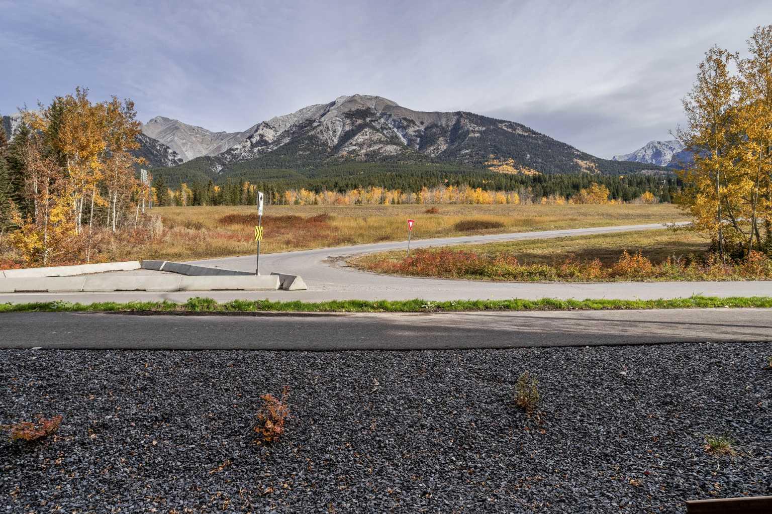 1717A Mountain Avenue 102