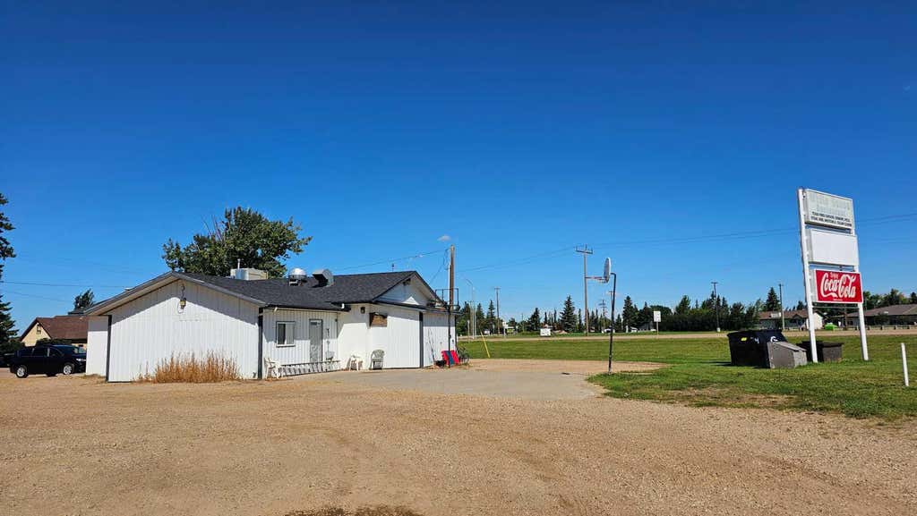 Photo of 4601 45 Street, Castor, AB T0C 0X0 (MLS # A2338654)