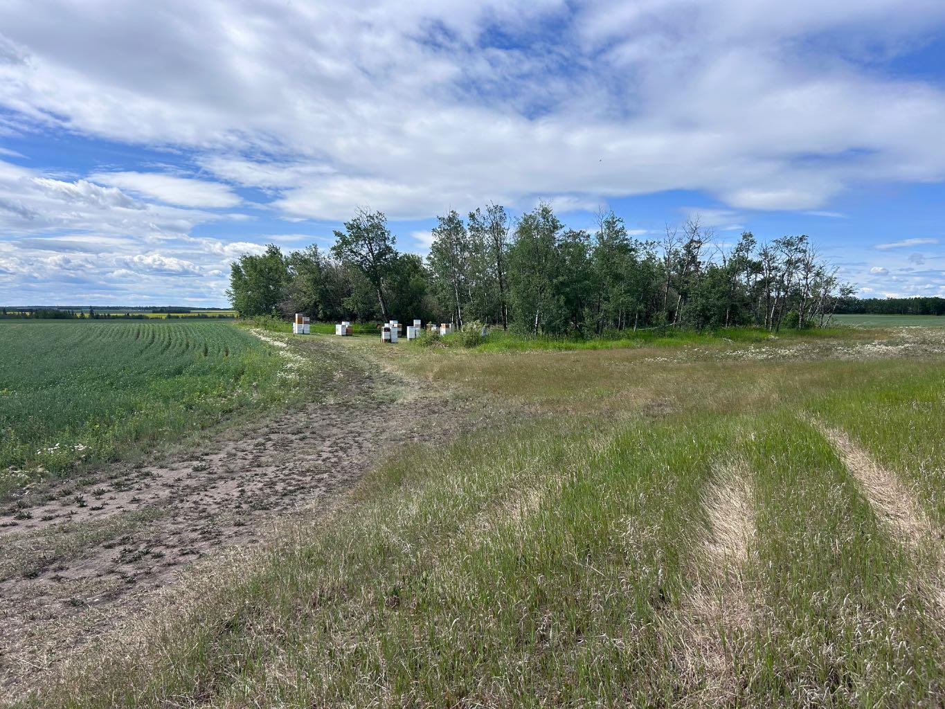 SE-15-73-5-W6 Range Road 52