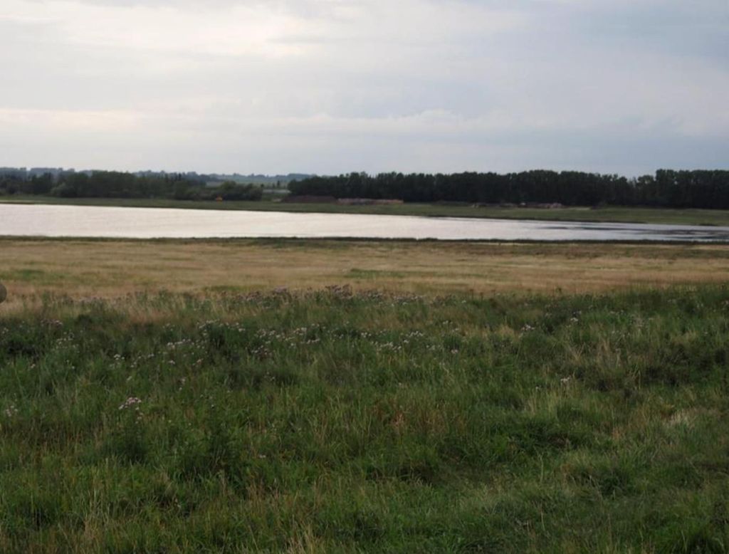 Photo of 1 Range Road 244, Rural Wheatland County, AB T1X 0J3 (MLS # A2306164)