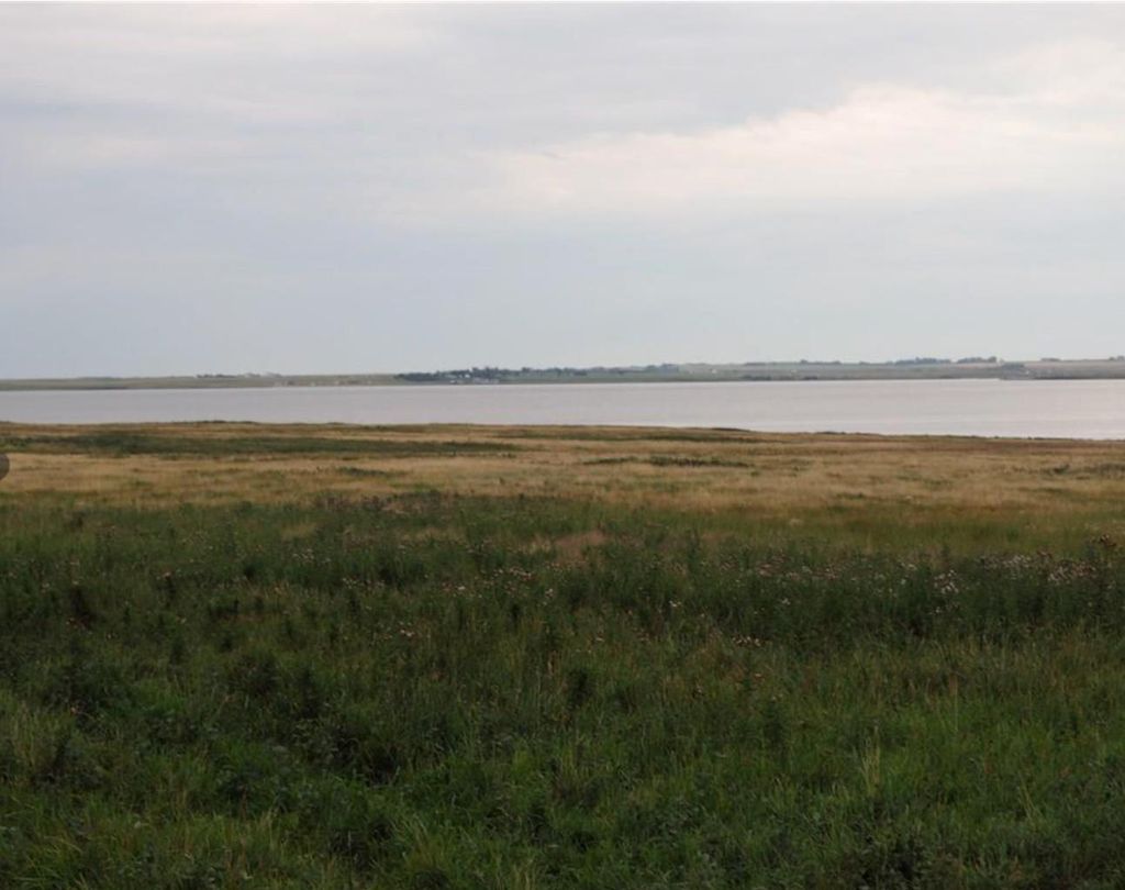 Photo of 1 Range Road 244, Rural Wheatland County, AB T1X 0J3 (MLS # A2306164)