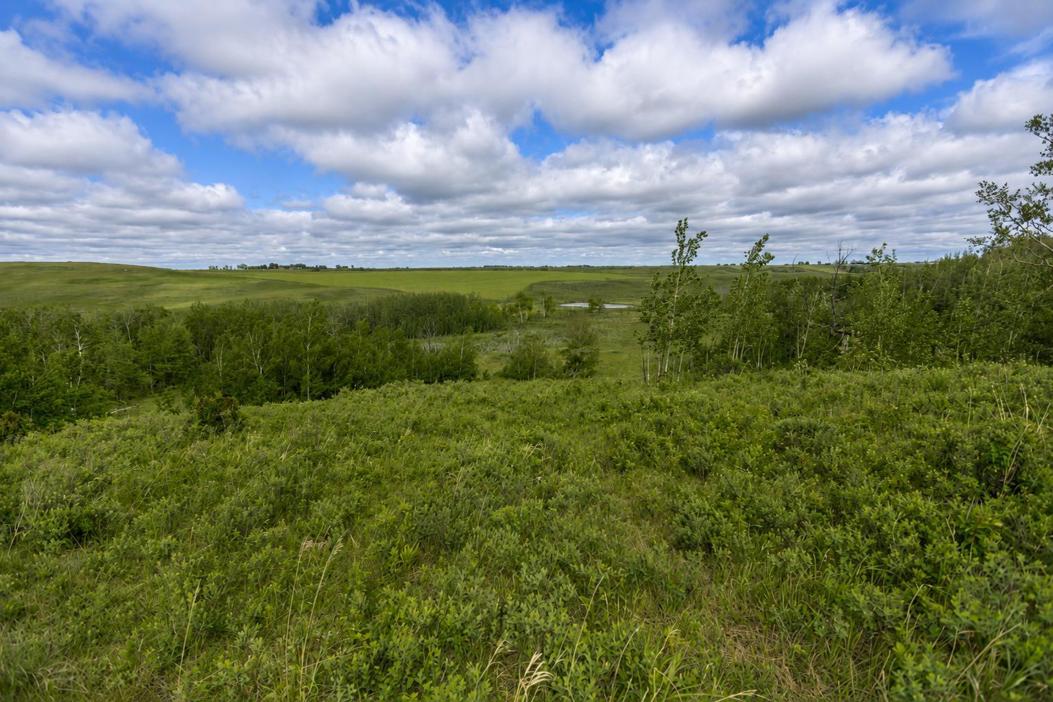 30480 Range Road 12 16
