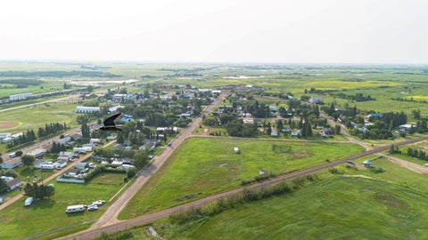 Photo of On Strom Street, Heisler, AB T0B 2A0 (MLS # A2332060)
