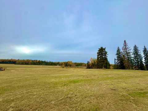 Photo of 317 Valley View Drive, Rural Clearwater County, AB T4T 1A7 (MLS # A2264690)