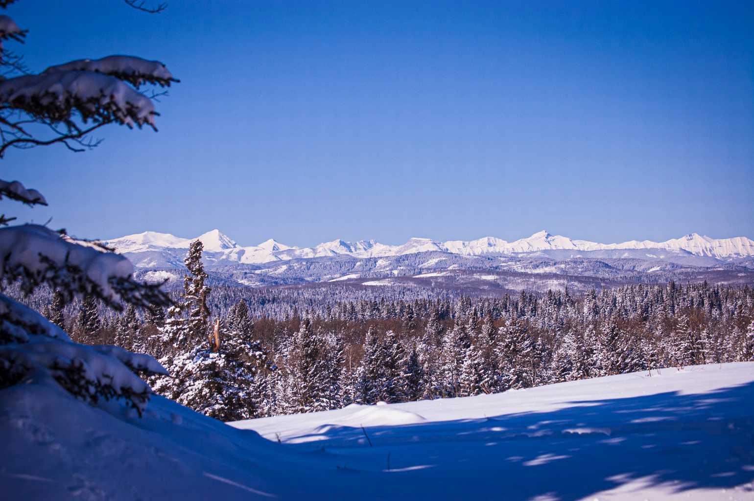 256142 Whiskey Springs Hill W