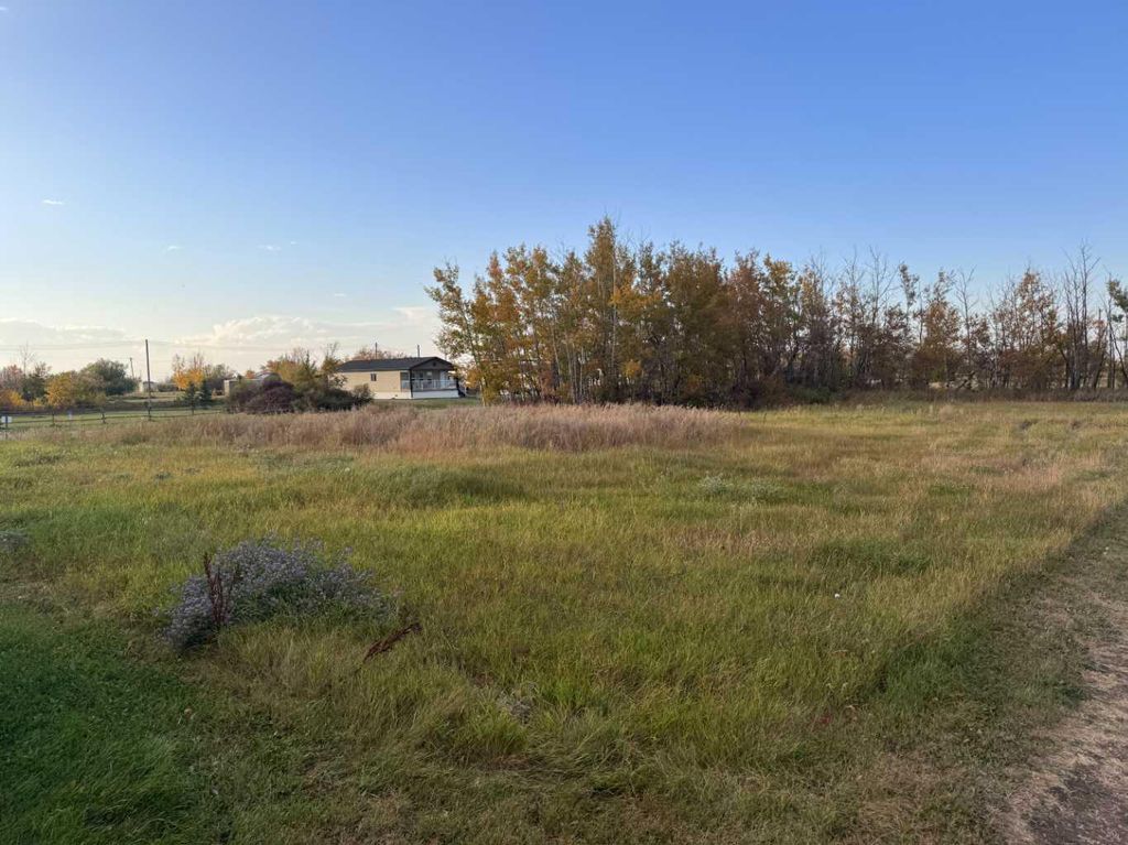 Photo of 23 3rd Street, Gadsby, AB T0C 1K0 (MLS # A2308993)