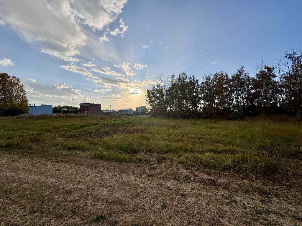 Photo of 23 3rd Street, Gadsby, AB T0C 1K0 (MLS # A2308993)