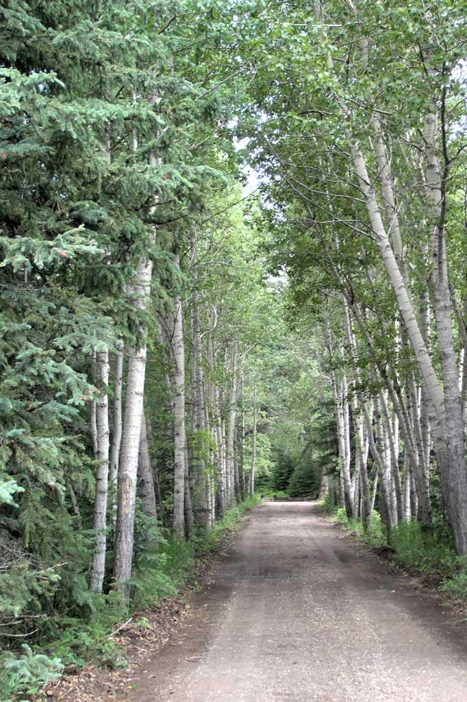 40018 Township Road 242