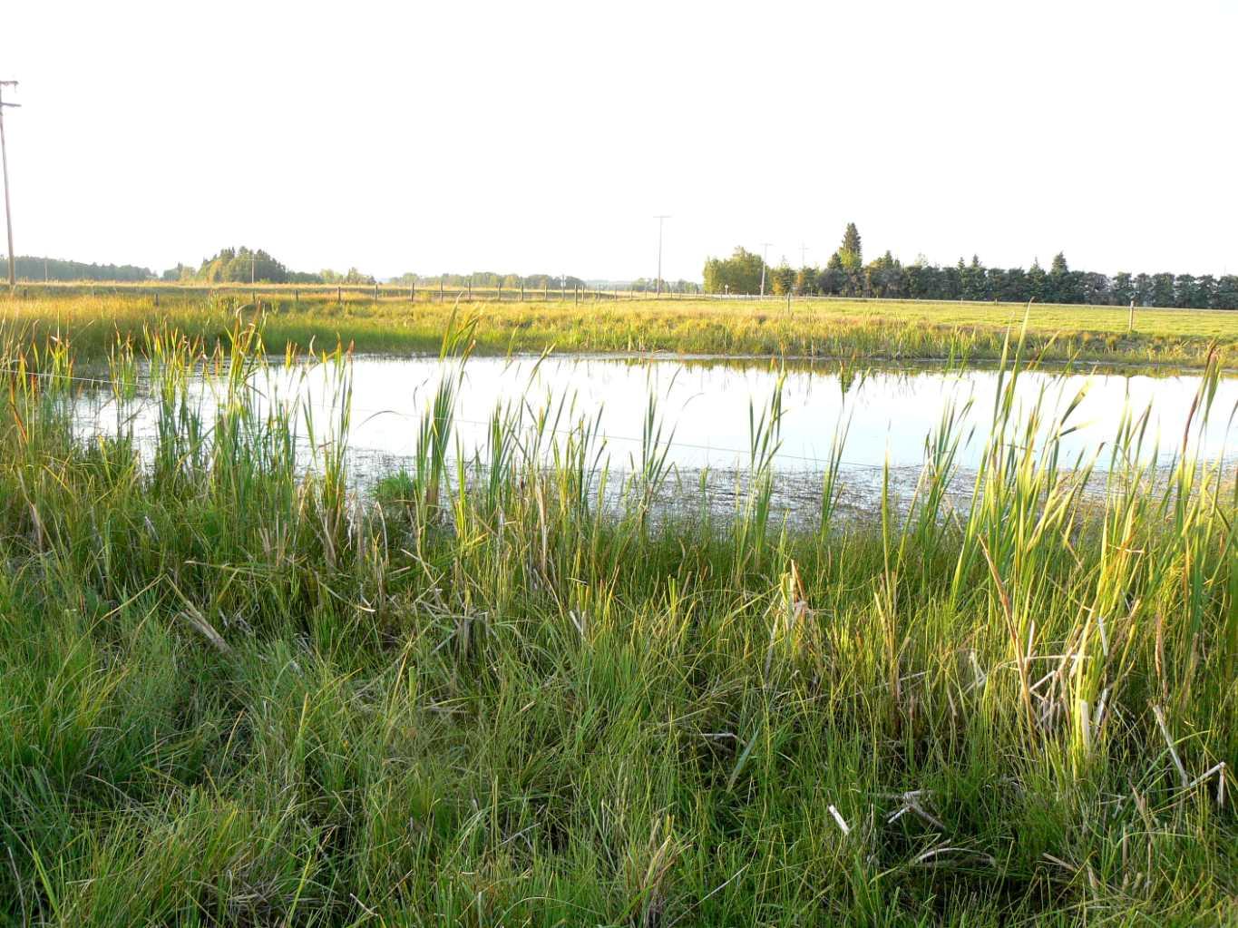 394075 Range Road 5-5