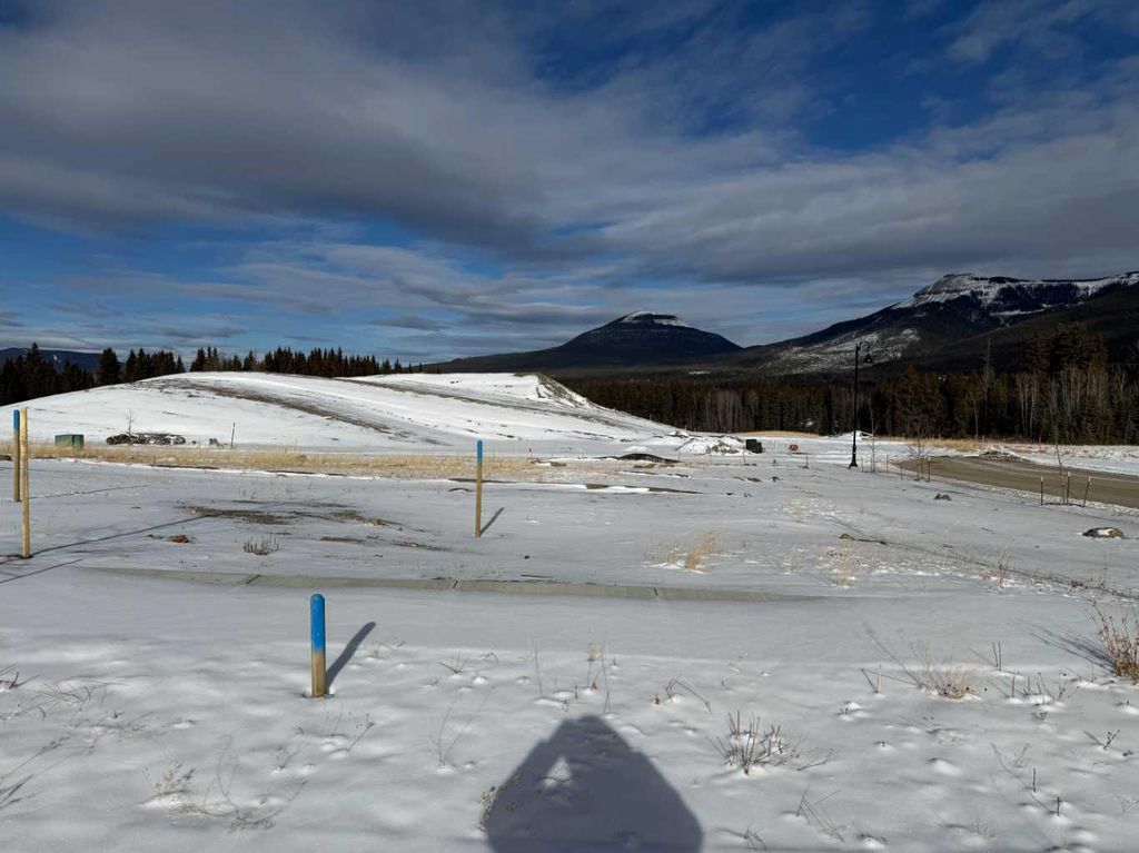 Photo of 437 LILY Avenue, Nordegg, AB T0M 2H0 (MLS # A2289693)