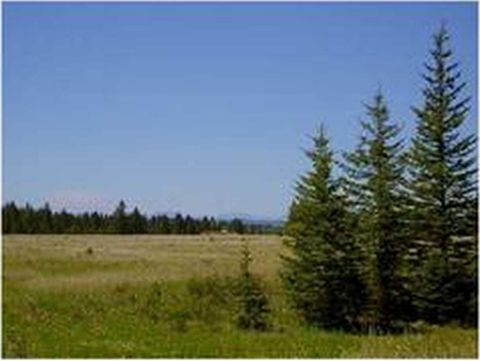 Range Road 55 Rural Mountain View County AB T0G 1X0