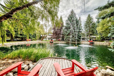 Tiny photo for 4037 42 Street NW #242, Calgary, AB T3A 2M9 (MLS # A2340164)