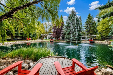 Tiny photo for 4037 42 Street NW #242, Calgary, AB T3A 2M9 (MLS # A2340164)