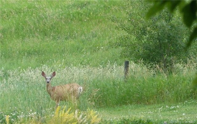 420069 Range Road 284 1