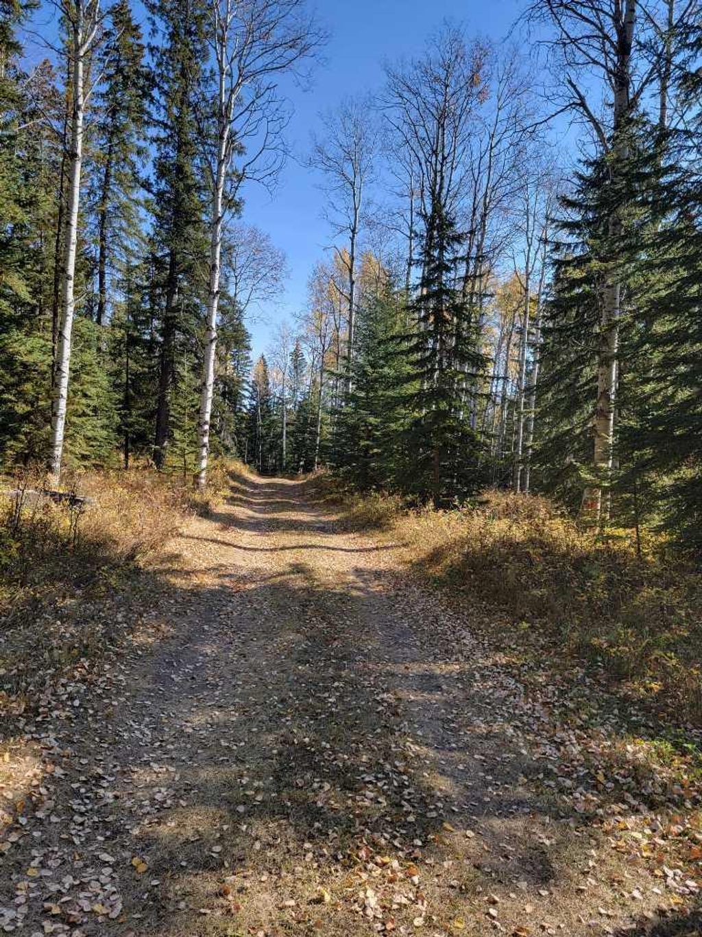 Photo of 36057 Range Road 43, Rural Red Deer County, AB T4G 0L5 (MLS # A2309095)