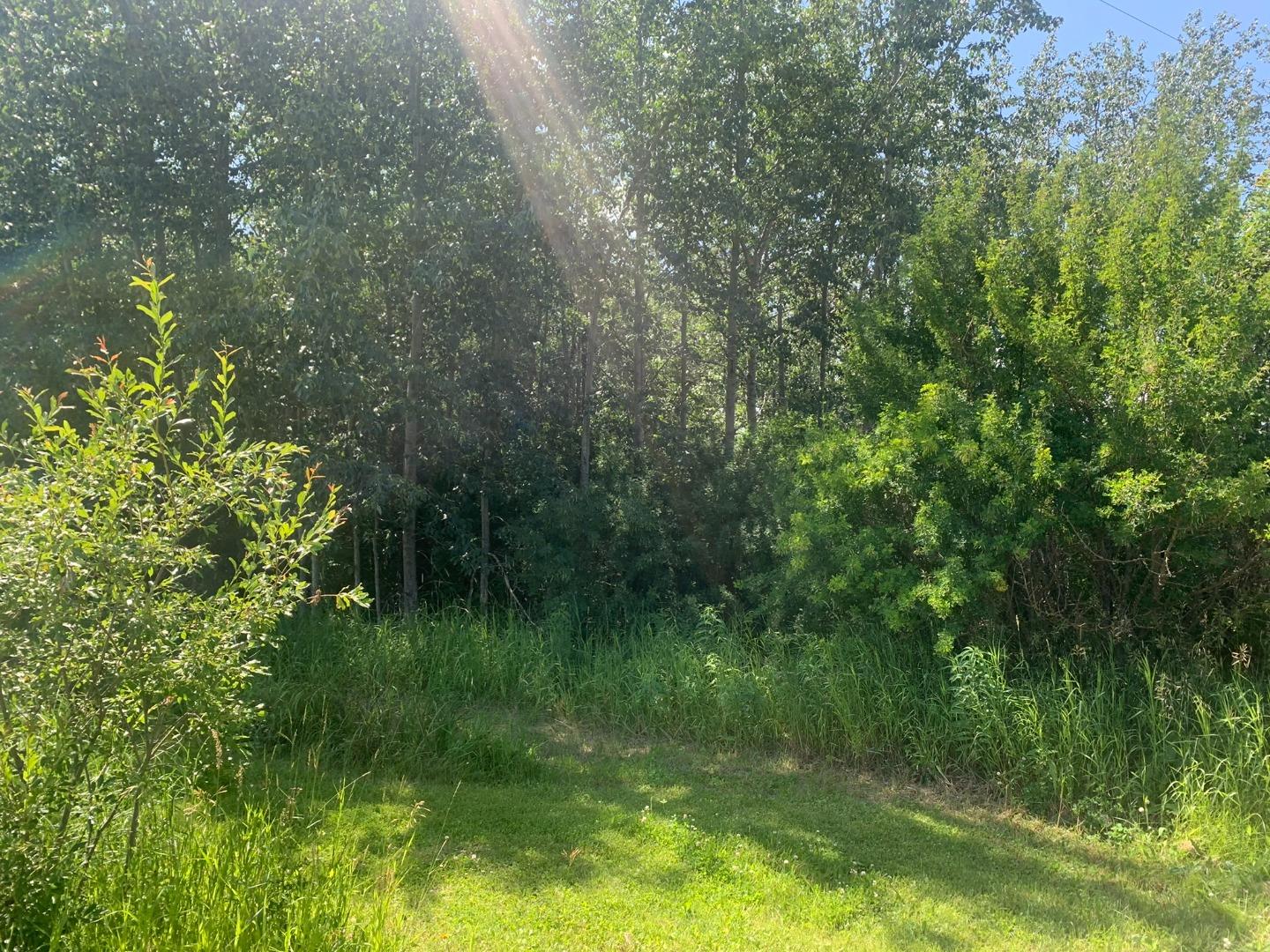 1009 11 Avenue Avenue