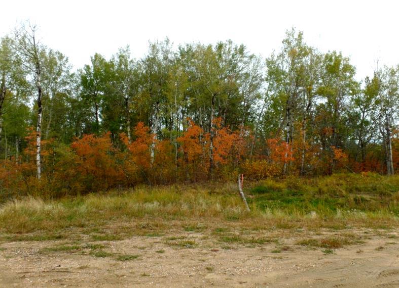 1520018 - 1 - 1 Poplar Point