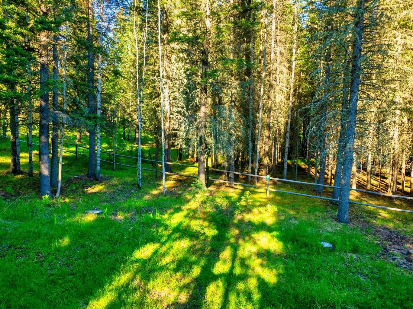 13 Chickadee Road