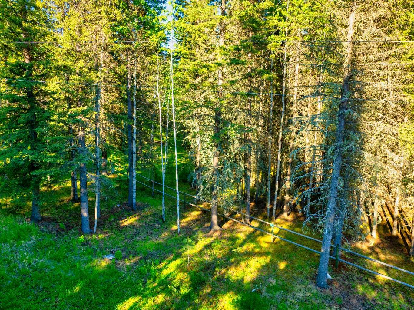 13 Chickadee Road