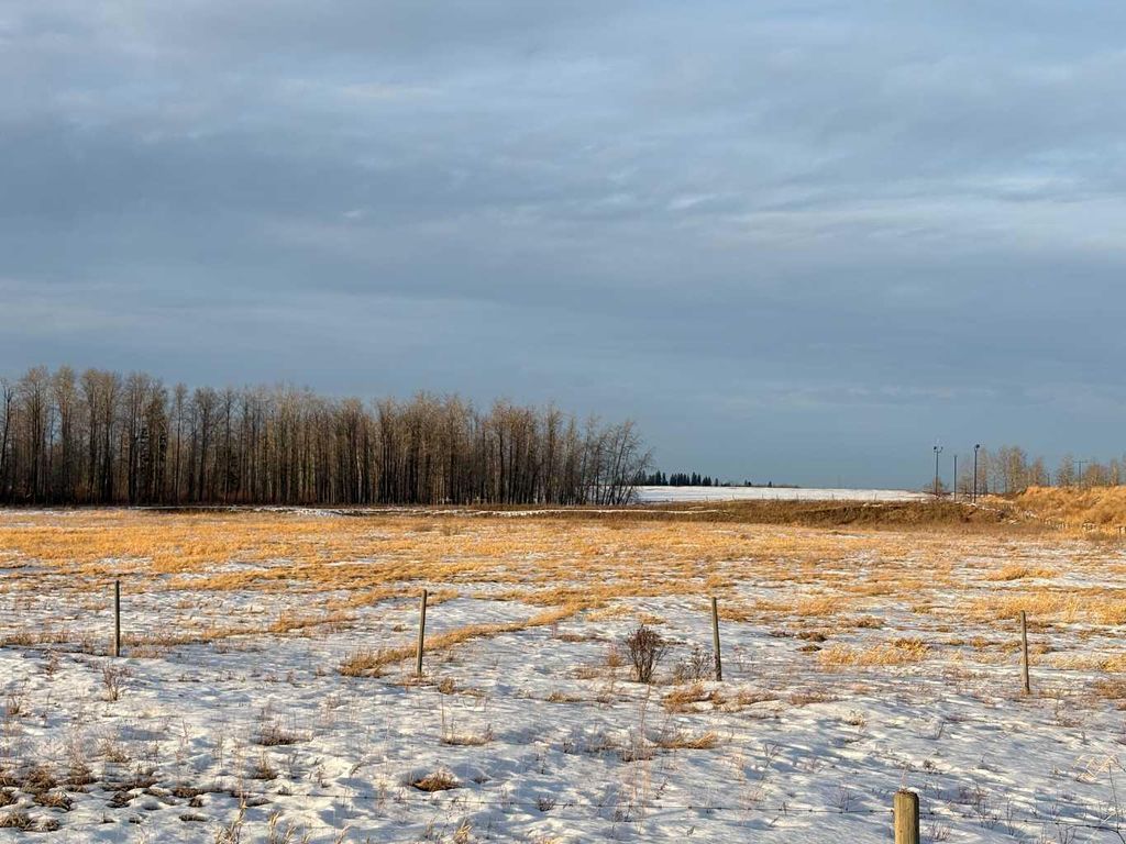 Photo of 7005 53 Highway, Ponoka, AB T4J 1S2 (MLS # A2290810)