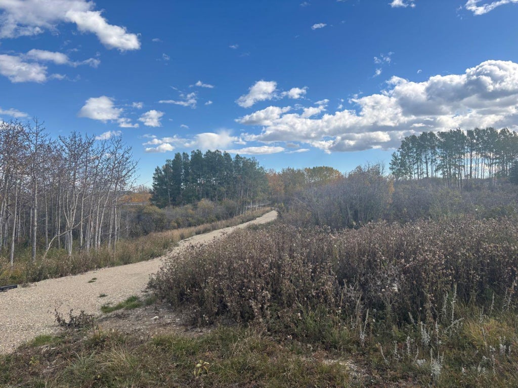 Photo of 24012 Aspen Drive, Rural Rocky View County, AB T3R 1A5 (MLS # A2349691)