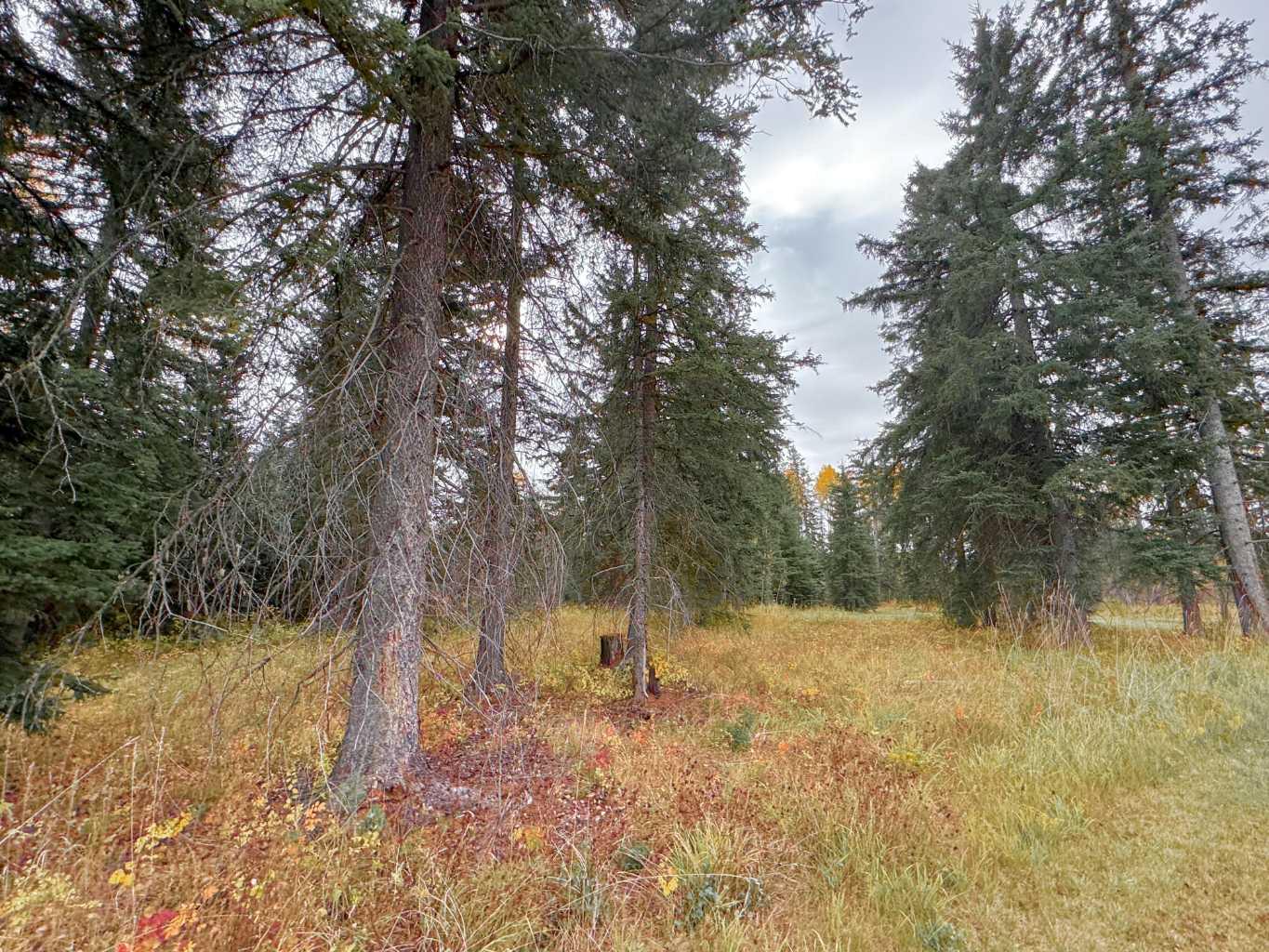 201 High Timber Place