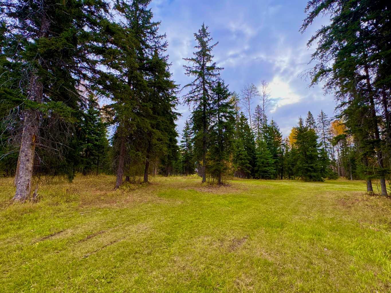 201 High Timber Place