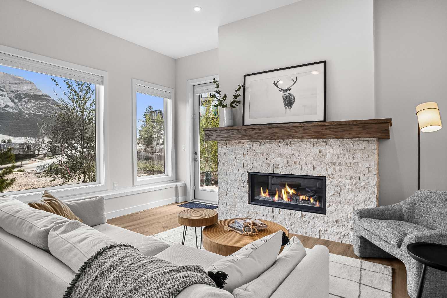 209 Stewart Creek Rise 101K