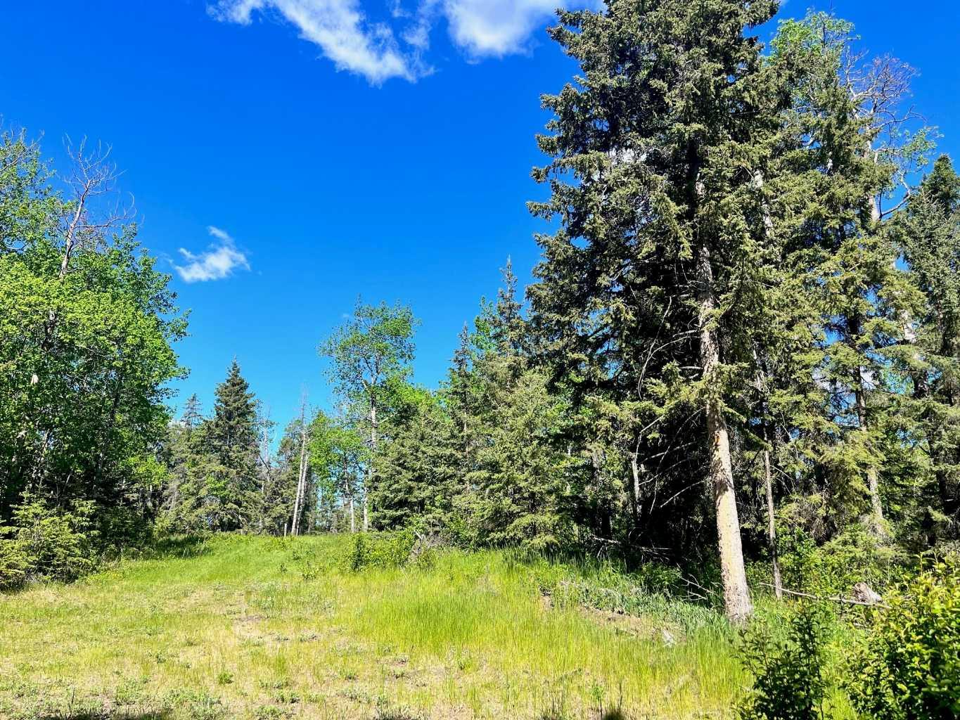 421022 Range Road 260 13