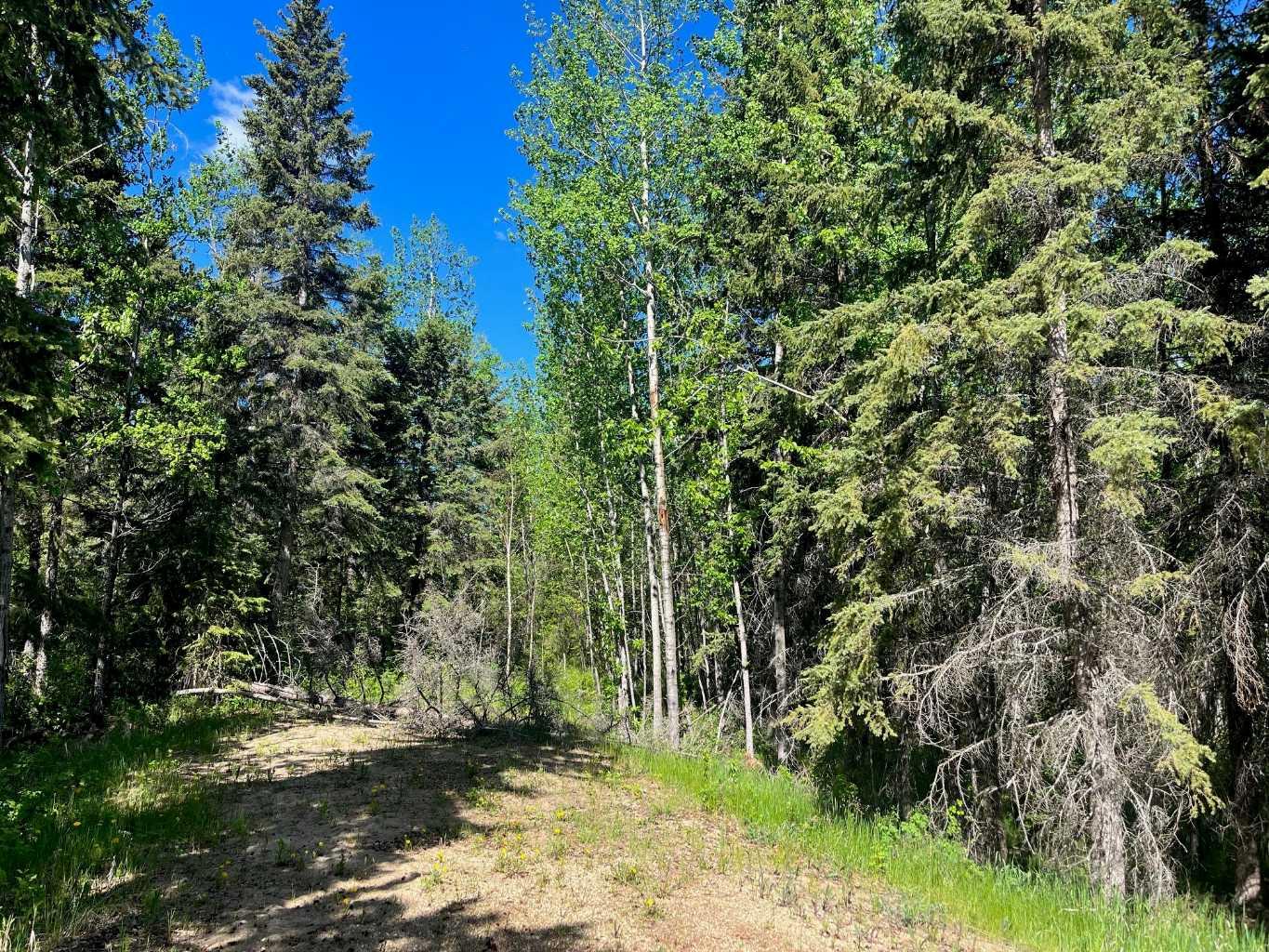 421022 Range Road 260 13