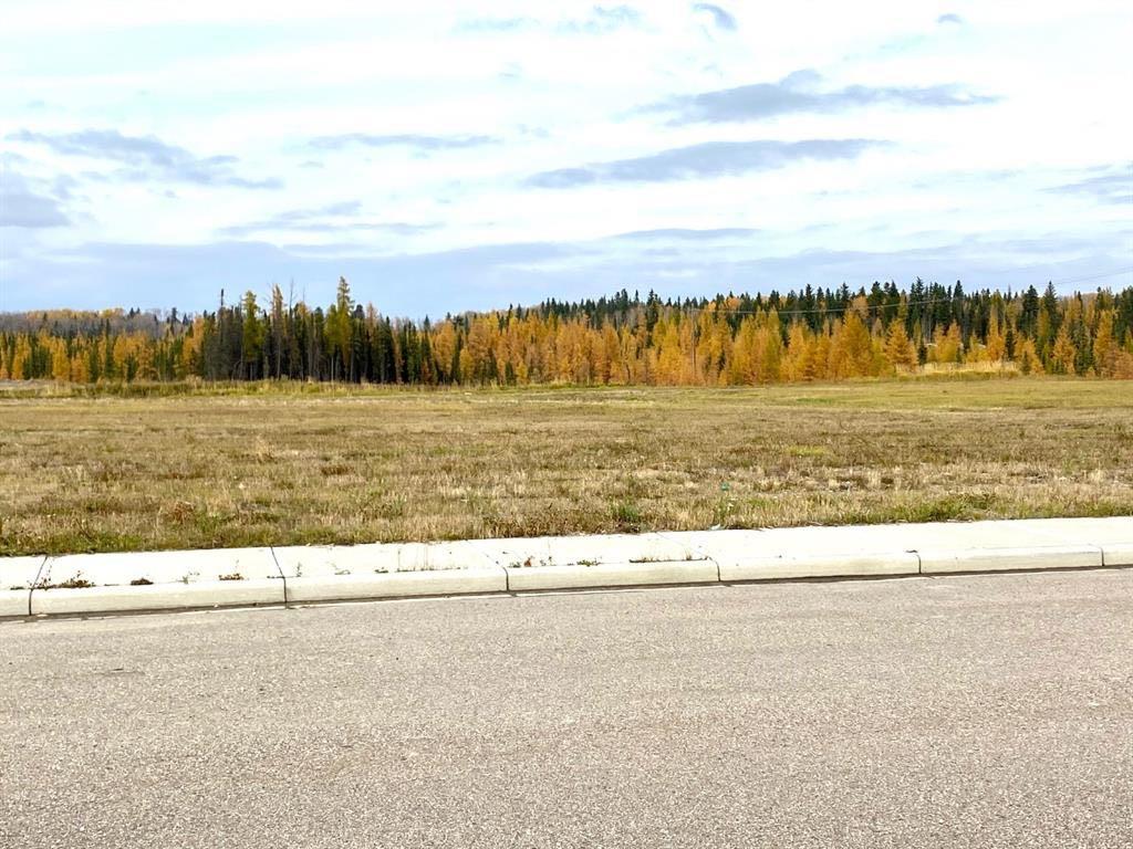 Photo of 4208 52A Avenue, Rocky Mountain House, AB T4T 1B4 (MLS # A2126991)