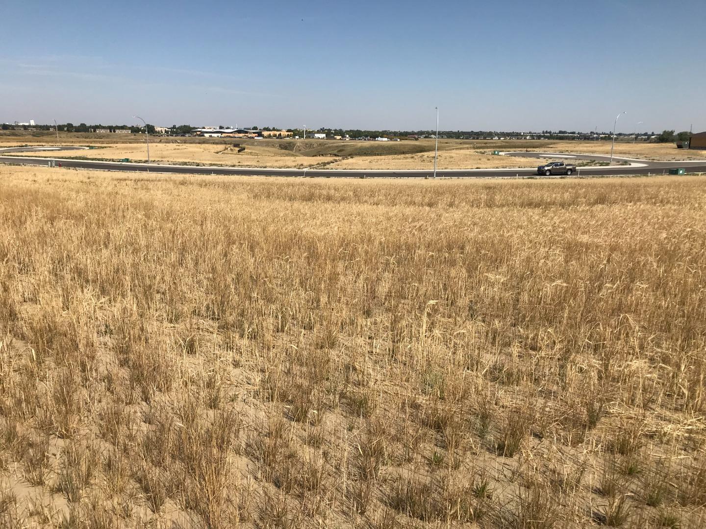 118 Sandstone Road S